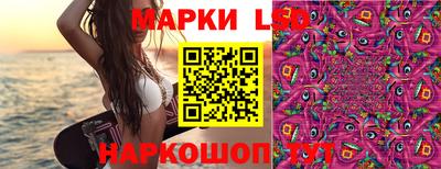 марки nbome Кингисепп