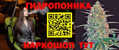 СК Бердск