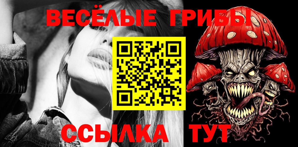 Галлюциногенные грибы Psilocybe  Вход с VPN  Костомукша 